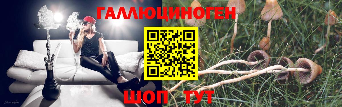 Псилоцибиновые грибы Magic Shrooms Луга